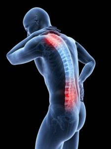 skeleton back pain feldenkrais® method