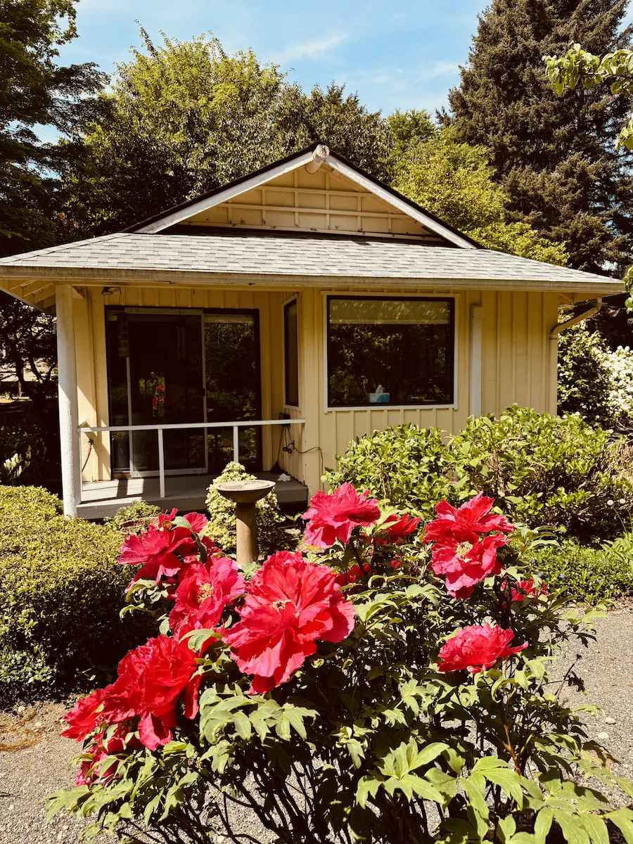 Laura's studio in the spring time